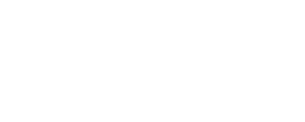 Logo Michael Ravedoni